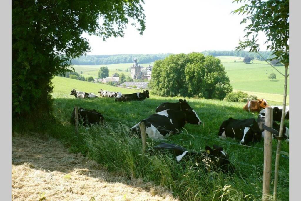 Hoeve Espewey Cottage Hombourg ภายนอก รูปภาพ